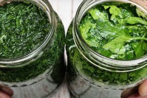 Сохраняем вкус и аромат свежей зелени. Как заготовить укроп и петрушку впрок